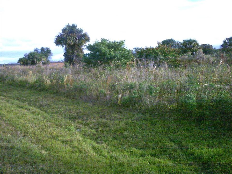 En Venta: $55,000 (0.87 acres)