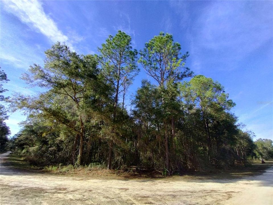 Recently Sold: $54,900 (1.07 acres)