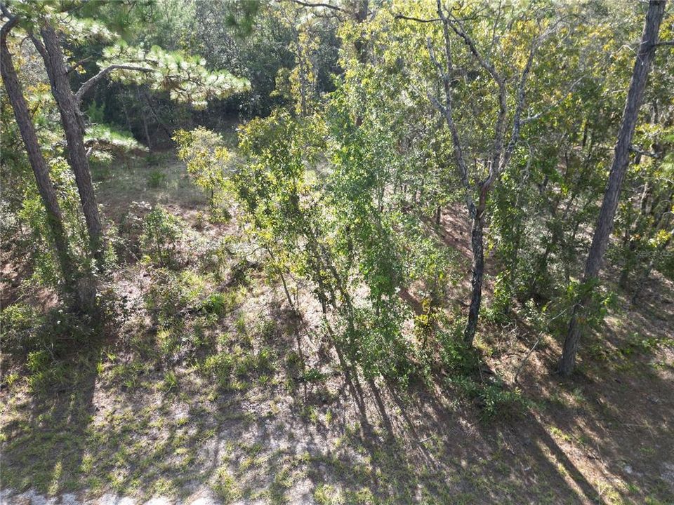 Recently Sold: $105,000 (2.50 acres)