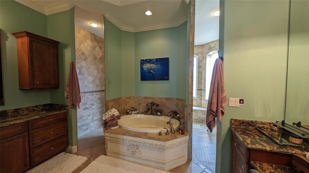 Master bath tub