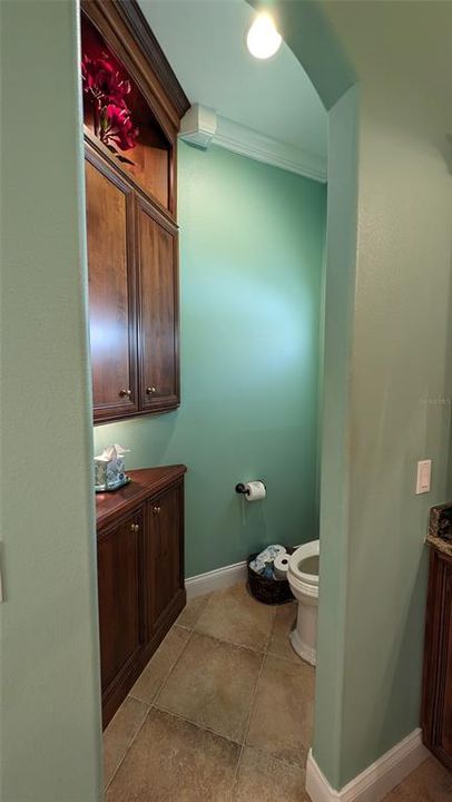 Water closet with bidet and built-ins