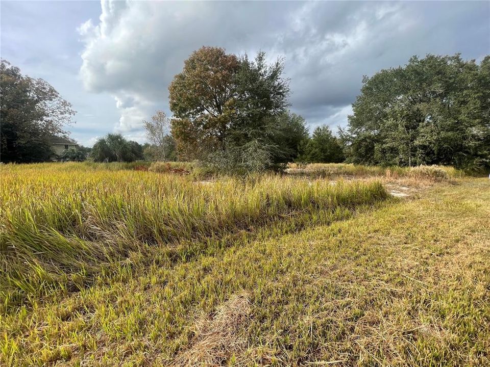 Active With Contract: $35,000 (0.23 acres)