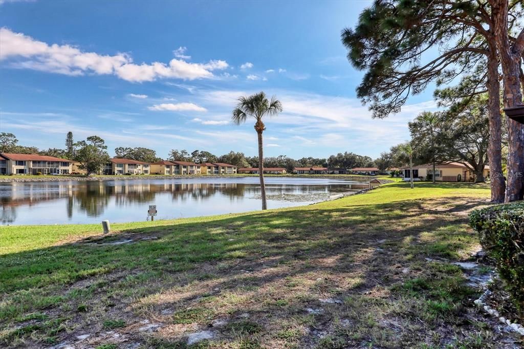 Pond across the street