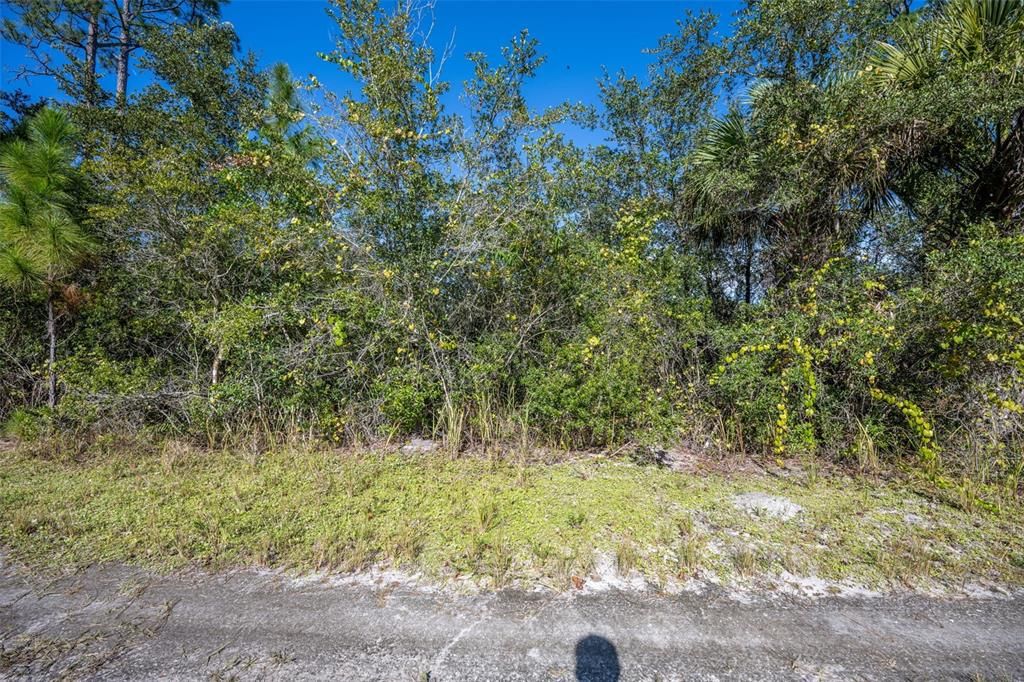Recently Sold: $22,000 (1.04 acres)