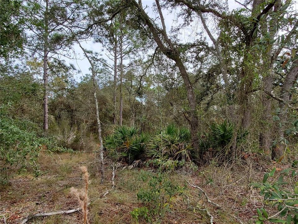 Recently Sold: $17,400 (1.11 acres)