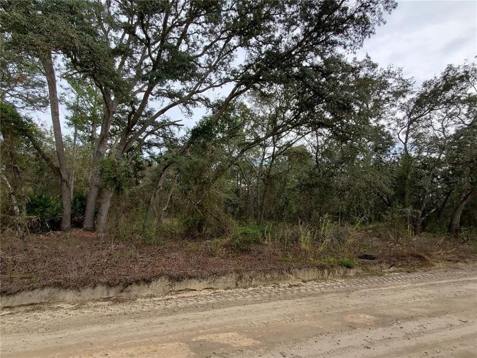 Recently Sold: $17,400 (1.11 acres)