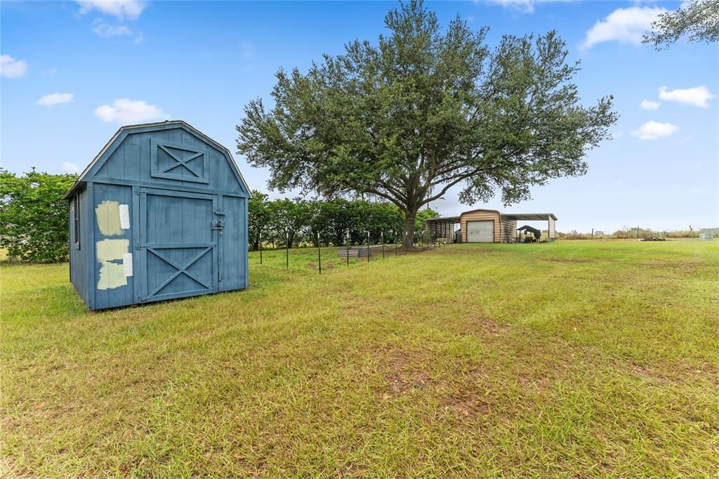 Blue Freestanding Shed does not convey