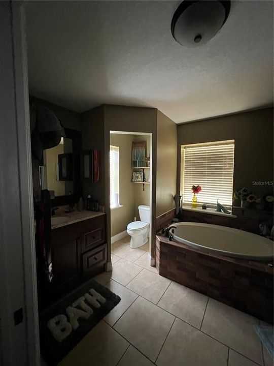 Master Bathroom (left)