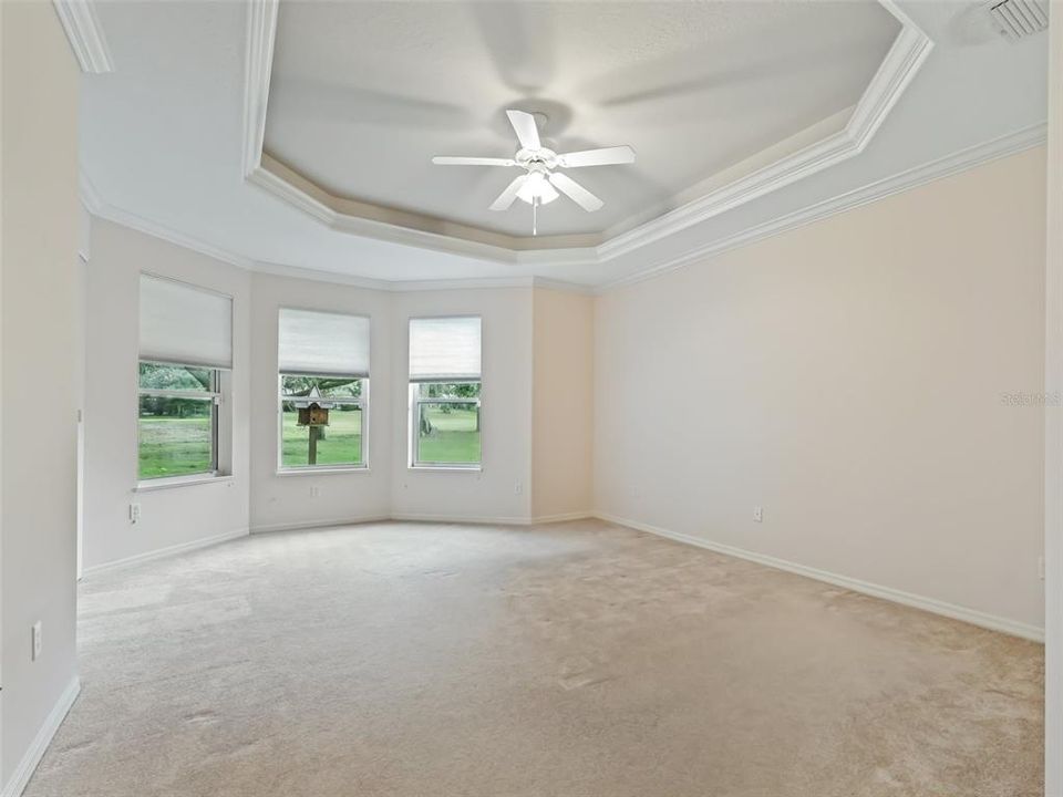 Primary bedroom with tray ceiling