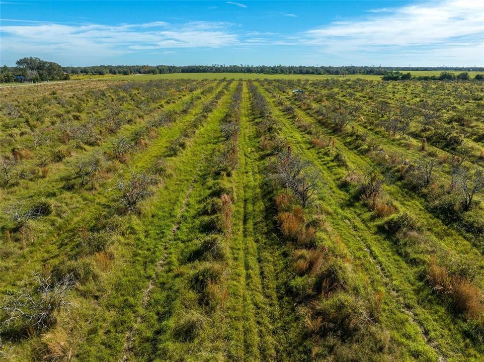 For Sale: $885,000 (40.00 acres)