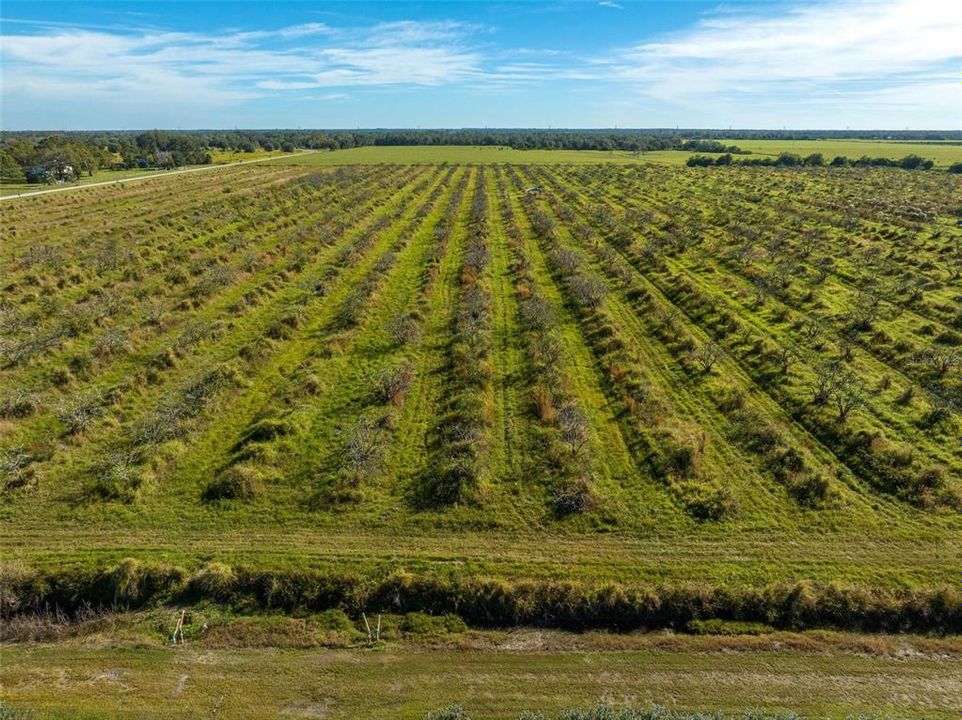 На продажу: $885,000 (40.00 acres)