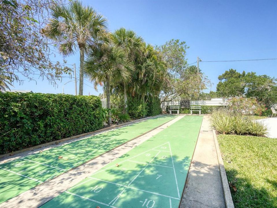 Community Shuffleboard Court