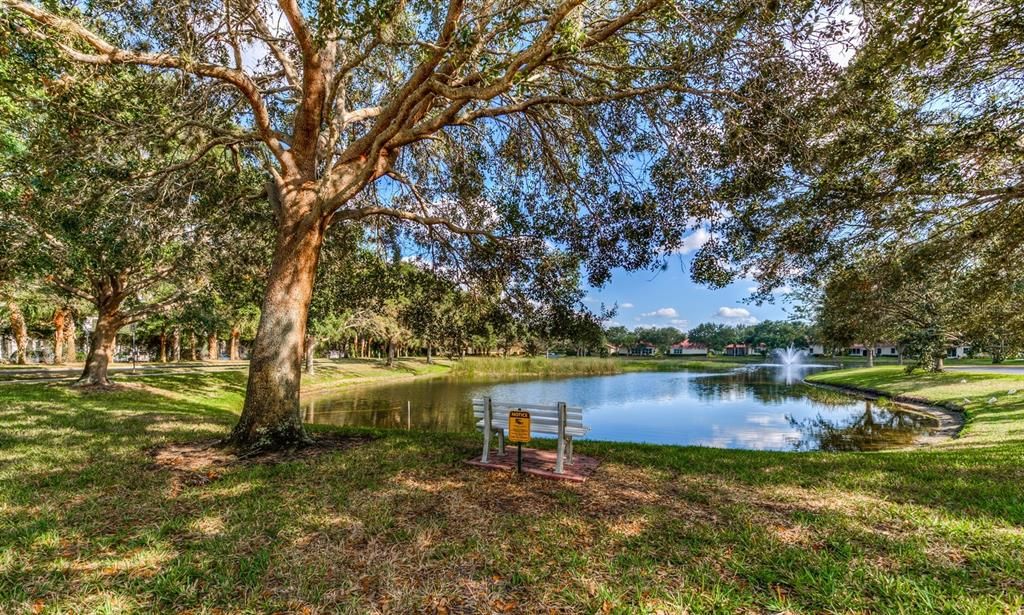 Pond outside with benches