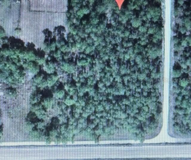 For Sale: $174,999 (2.50 acres)