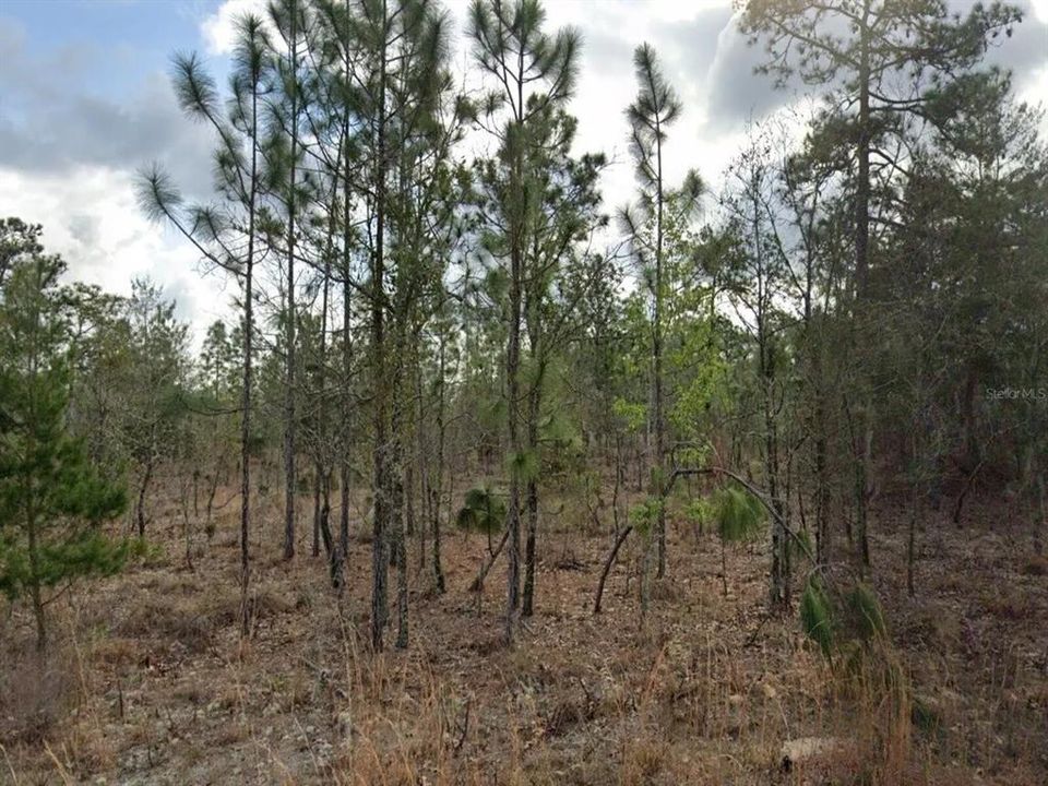 Recently Sold: $12,495 (0.40 acres)