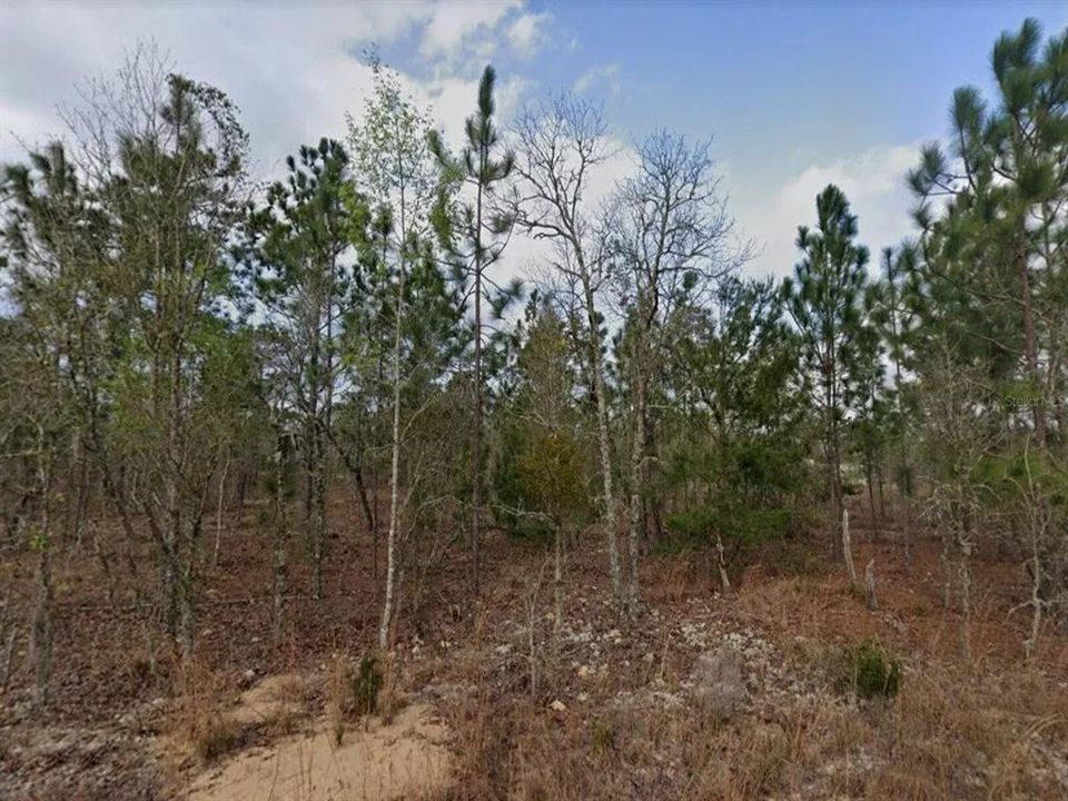 Recently Sold: $12,495 (0.40 acres)