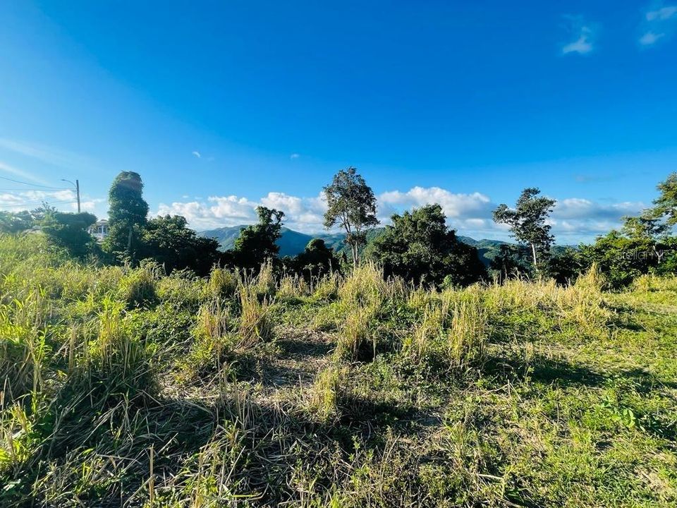 Vendido Recientemente: $65,000 (0.35 acres)