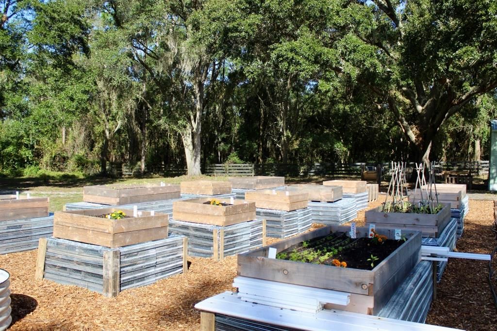 Community Garden