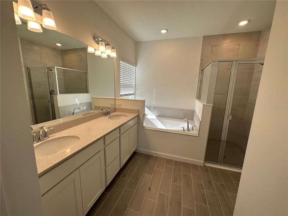 Owner's Bathroom