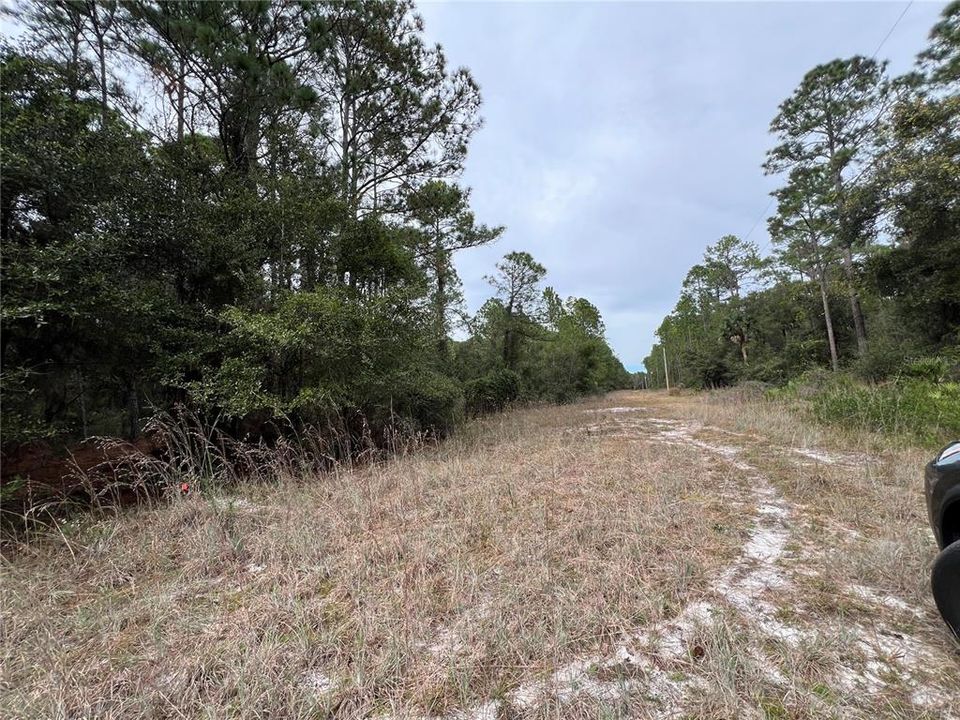 For Sale: $24,999 (1.25 acres)