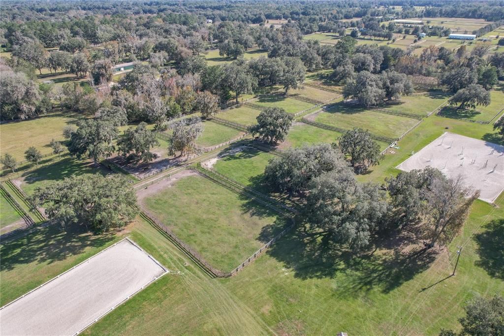 Mature trees and great grass