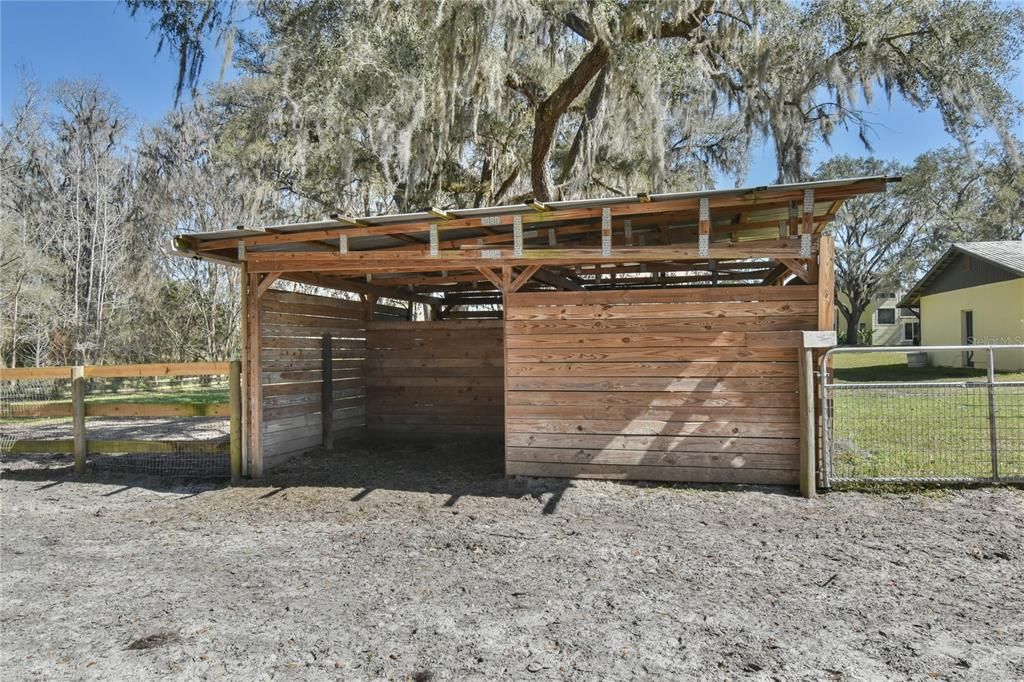 2 Run-in sheds with large paddocks