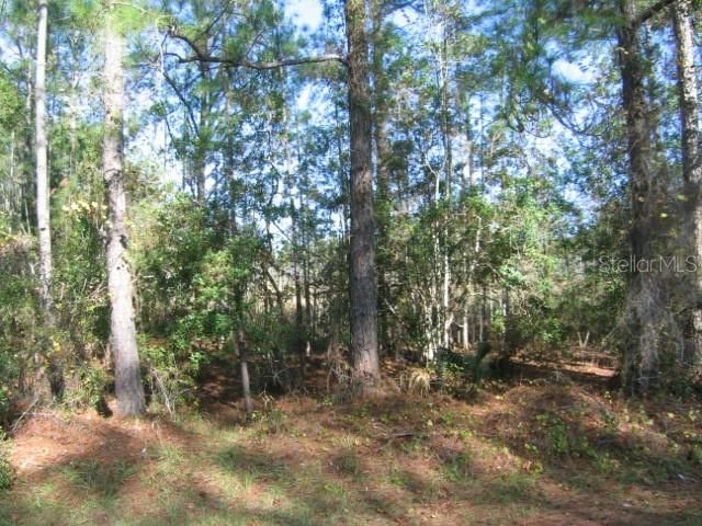 Recently Sold: $14,900 (1.00 acres)