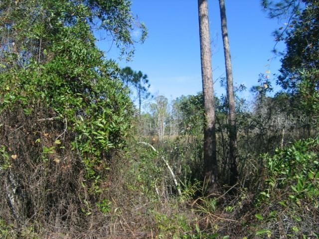 Recently Sold: $14,900 (1.00 acres)