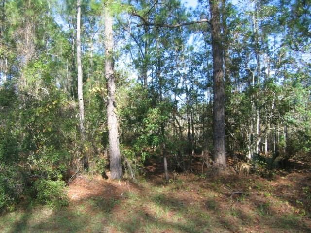 Recently Sold: $14,900 (1.00 acres)