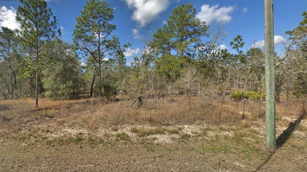 最近售出: $25,500 (0.46 acres)