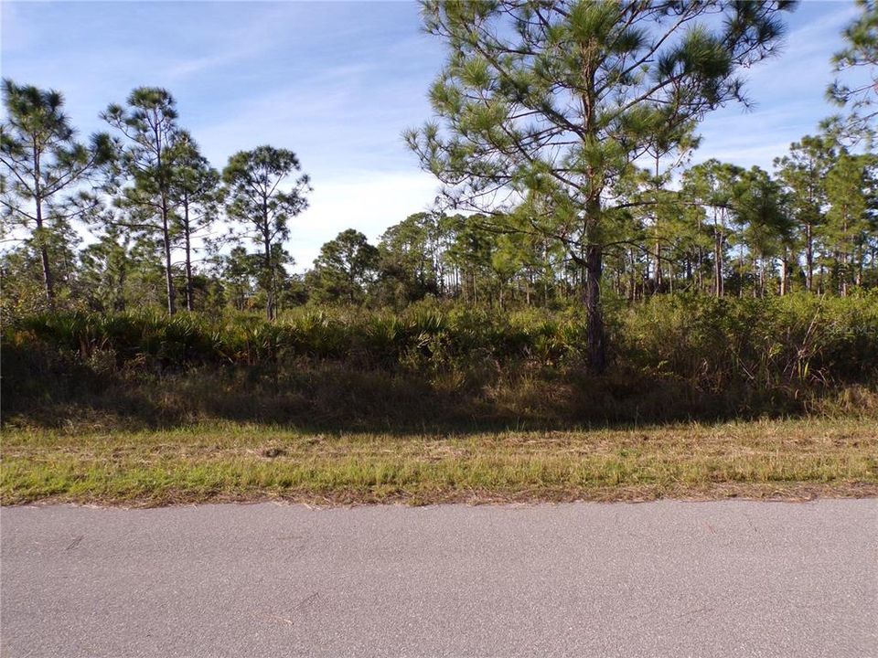 Active With Contract: $17,990 (0.23 acres)