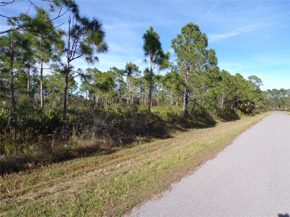 Active With Contract: $17,990 (0.23 acres)