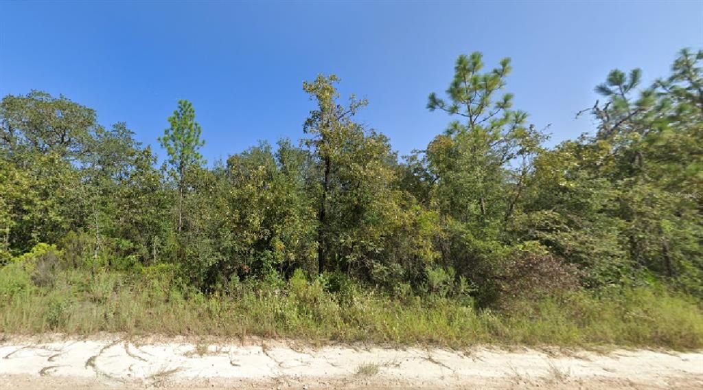 For Sale: $18,000 (1.13 acres)