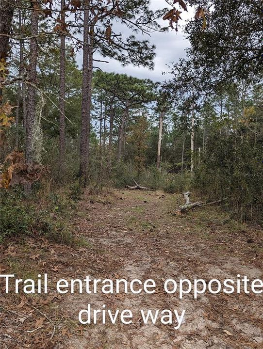 Equestrian trail across from driveway