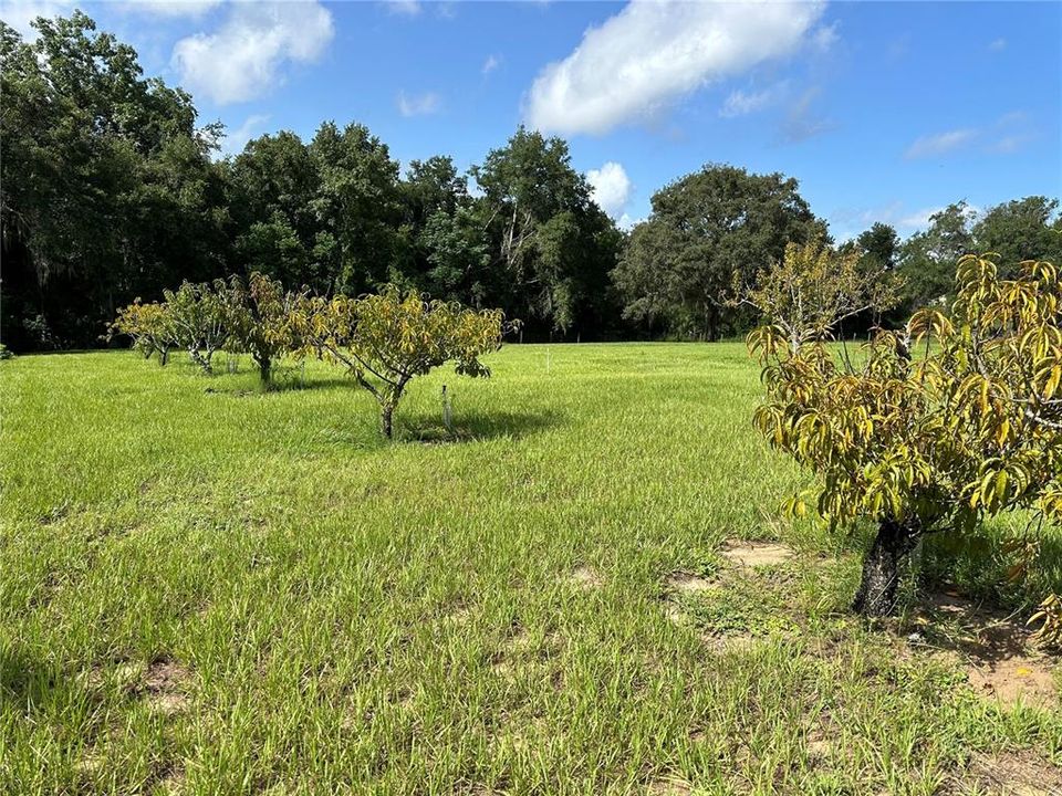 Take a walk literally right next door at the preserve.