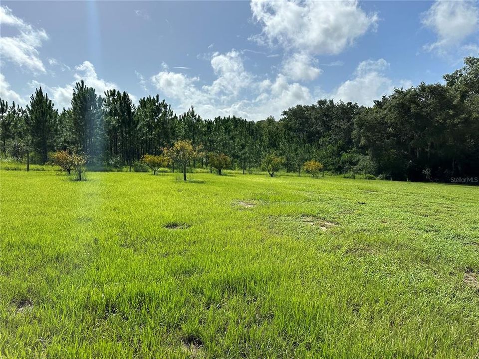 Active With Contract: $550,000 (3 beds, 3 baths, 2012 Square Feet)