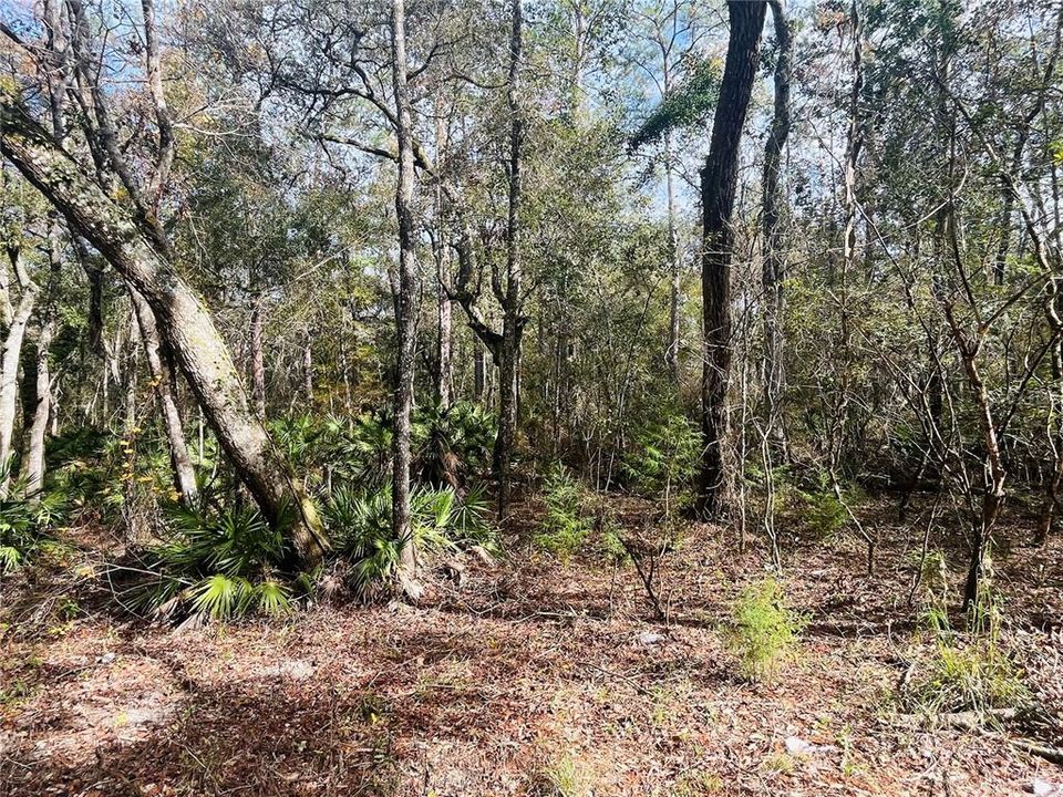 Active With Contract: $27,500 (1.01 acres)