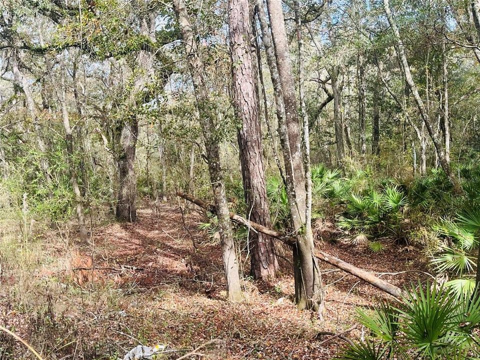 Active With Contract: $27,500 (1.01 acres)