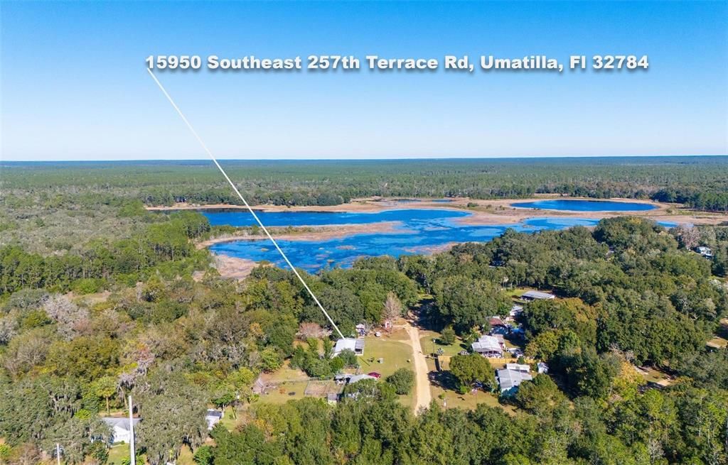 Lake Nicatoon and the Ocala National Forest in the background