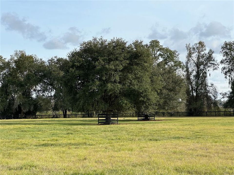 For Sale: $502,000 (11.04 acres)