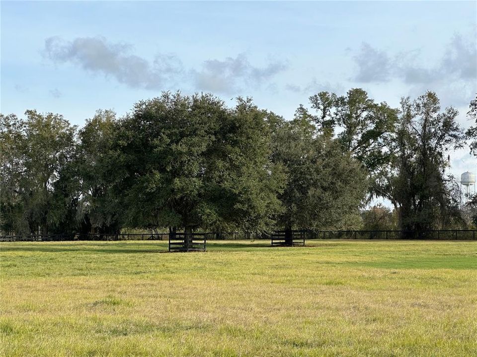 For Sale: $502,000 (11.04 acres)