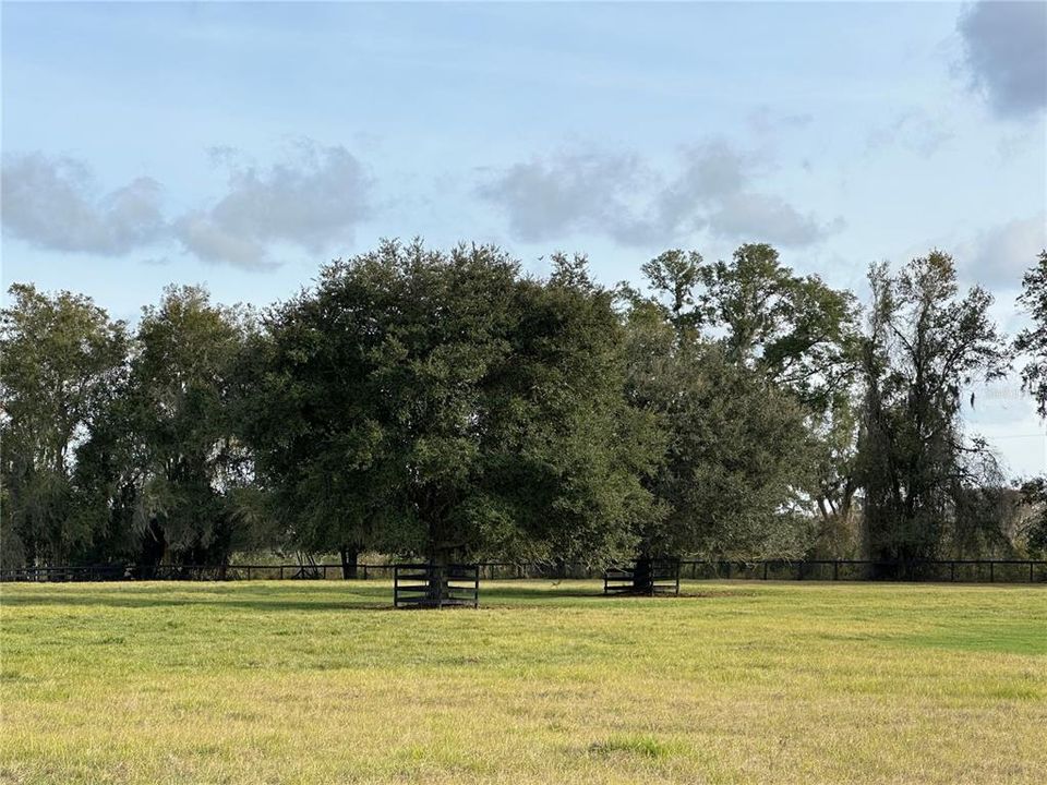 For Sale: $502,000 (11.04 acres)