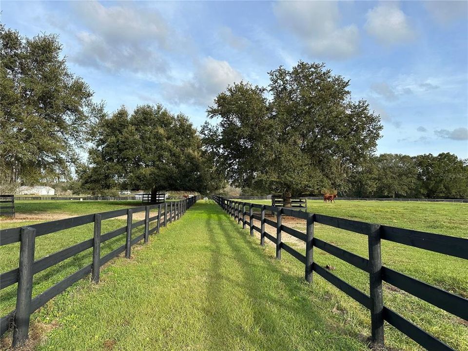 For Sale: $502,000 (11.04 acres)