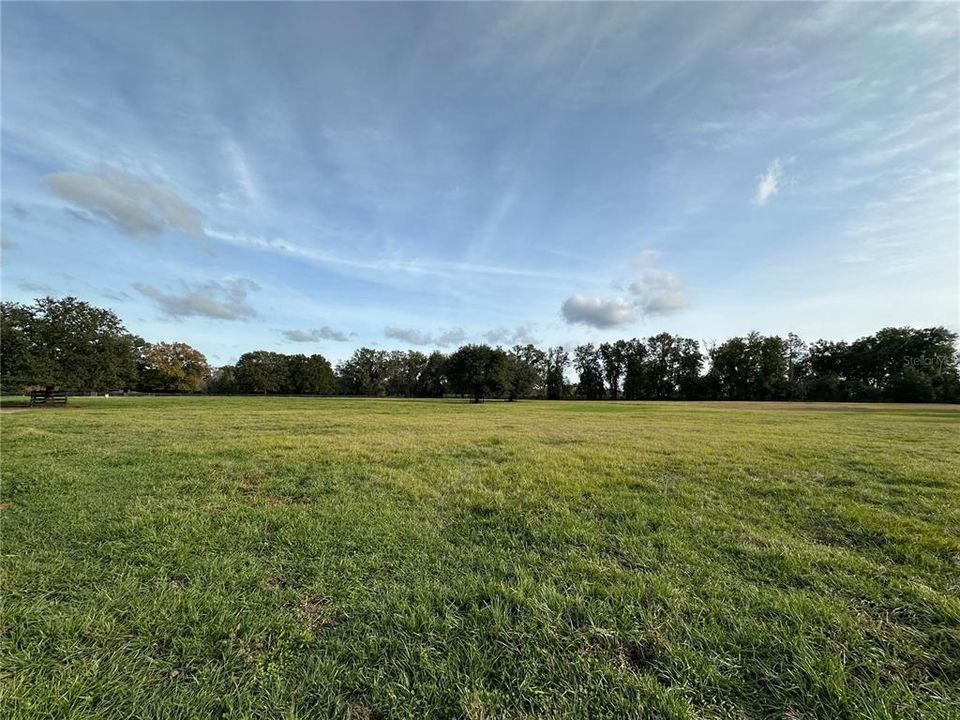 For Sale: $502,000 (11.04 acres)