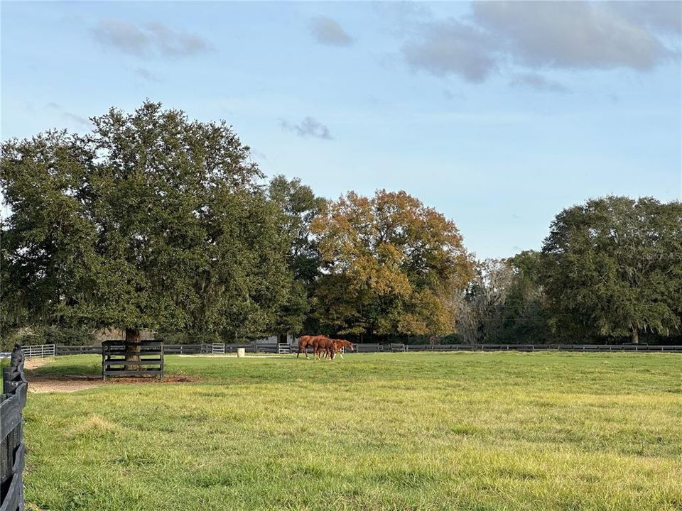 For Sale: $502,000 (11.04 acres)