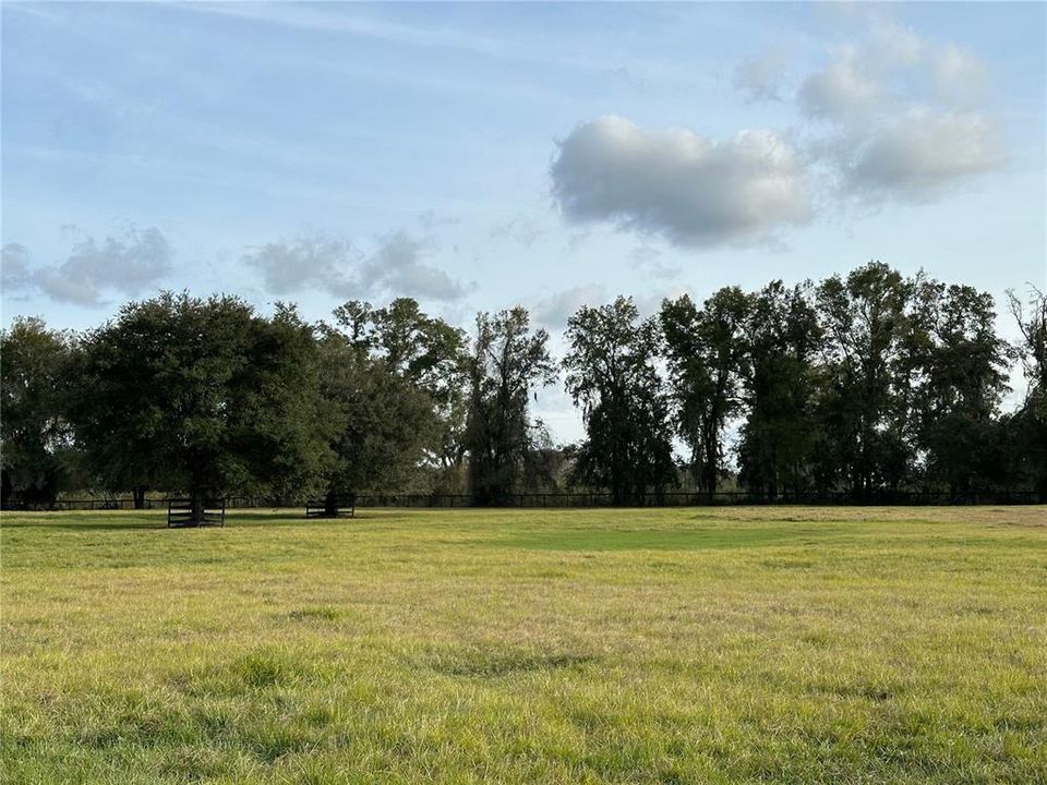 For Sale: $502,000 (11.04 acres)