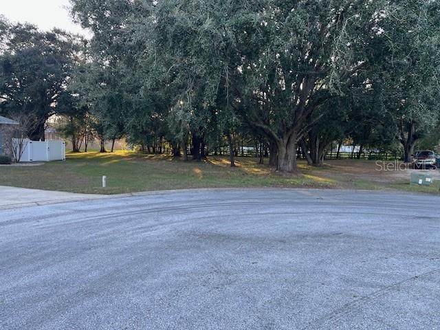 Vacant Summerton Lot