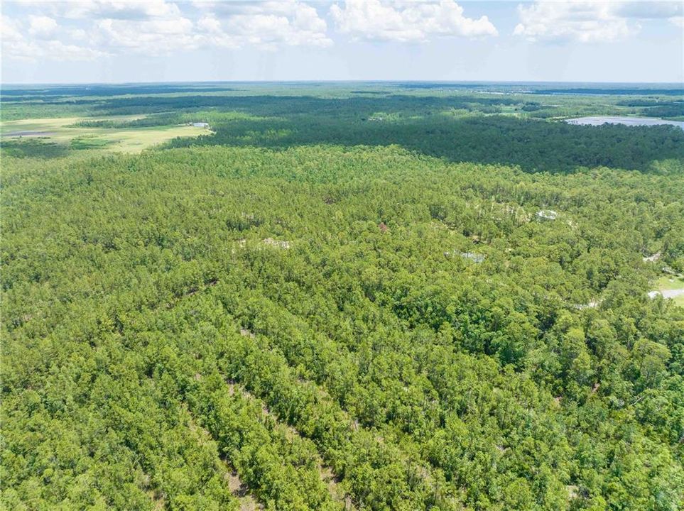 En Venta: $335,000 (28.75 acres)