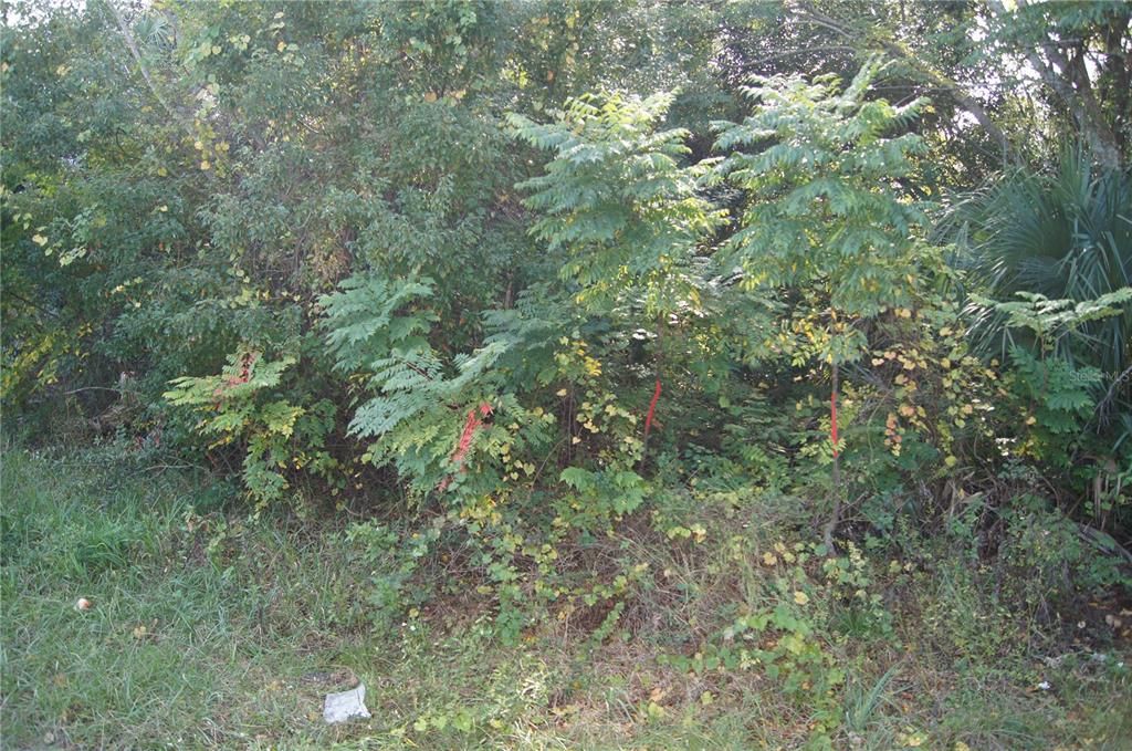 Недавно продано: $28,000 (0.14 acres)
