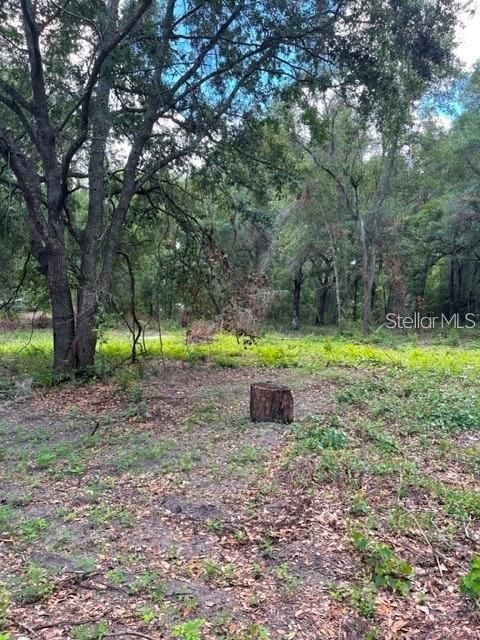 Recently Sold: $149,999 (4.86 acres)